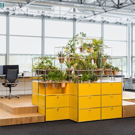USM Haller Installation in goldgelb als modernes Pflanzenmöbel im Büro